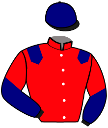 casaque portée par Beluze P. jockey du cheval de course LUSTY, information pmu ZETURF casaque portée par Beluze P. jockey du cheval de course LUSTY, information pmu ZETURF