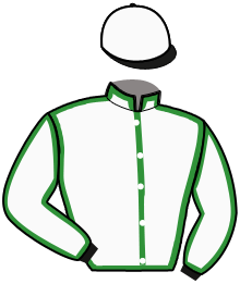 casaque portée par Honore A. jockey du cheval de course KRAQUANTA BELLA, information pmu ZETURF casaque portée par Honore A. jockey du cheval de course KRAQUANTA BELLA, information pmu ZETURF