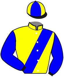 casaque portée par Brossard D. jockey du cheval de course KINGPIN, information pmu ZETURF casaque portée par Brossard D. jockey du cheval de course KINGPIN, information pmu ZETURF