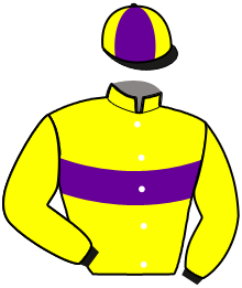 casaque portée par Lacombe Y. jockey du cheval de course ICARE DUNGY, information pmu ZETURF