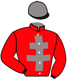 casaque portée par Fossey A. M. jockey du cheval de course IMPACT DES BAUX, information pmu ZETURF