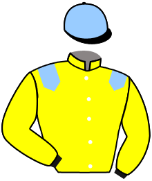 casaque portée par Lemaitre A. jockey du cheval de course MISS CHASTAIN, information pmu ZETURF casaque portée par Lemaitre A. jockey du cheval de course MISS CHASTAIN, information pmu ZETURF