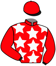 casaque portée par Planque S. jockey du cheval de course SHUSHI, information pmu ZETURF casaque portée par Planque S. jockey du cheval de course SHUSHI, information pmu ZETURF
