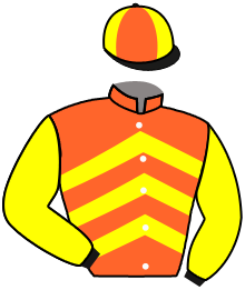 casaque portée par Trullier T. jockey du cheval de course MISTY QUALITY, information pmu ZETURF casaque portée par Trullier T. jockey du cheval de course MISTY QUALITY, information pmu ZETURF