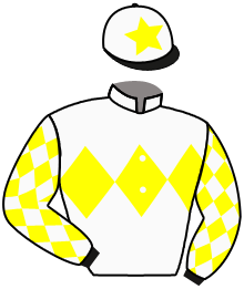 casaque portée par Eon Mlle M. jockey du cheval de course LADY ACE, information pmu ZETURF casaque portée par Eon Mlle M. jockey du cheval de course LADY ACE, information pmu ZETURF