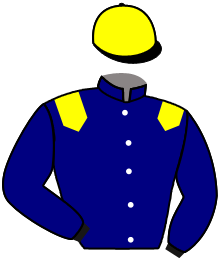 casaque portée par Journiac H. jockey du cheval de course AMERICAN FLAG, information pmu ZETURF casaque portée par Journiac H. jockey du cheval de course AMERICAN FLAG, information pmu ZETURF