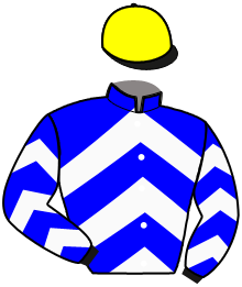 casaque portée par Baudouin L. jockey du cheval de course MARALE SIBEY, information pmu ZETURF