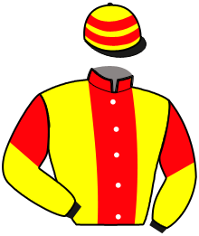 casaque portée par Dromigny T. jockey du cheval de course HIT DE JOBI, information pmu ZETURF casaque portée par Dromigny T. jockey du cheval de course HIT DE JOBI, information pmu ZETURF