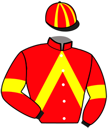 casaque portée par Collette A. jockey du cheval de course JASPE DU DOLLAR, information pmu ZETURF
