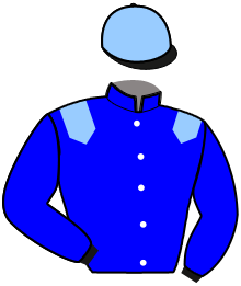 casaque portée par Coppens B. jockey du cheval de course FAUCON DE L'ALBA, information pmu ZETURF casaque portée par Coppens B. jockey du cheval de course FAUCON DE L'ALBA, information pmu ZETURF