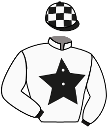 casaque portée par Foulon M. jockey du cheval de course SW MYTHAQ, information pmu ZETURF casaque portée par Foulon M. jockey du cheval de course SW MYTHAQ, information pmu ZETURF