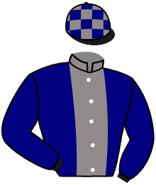 casaque portée par Non Partant jockey du cheval de course MAGIC DE LA RUE, information pmu ZETURF casaque portée par Non Partant jockey du cheval de course MAGIC DE LA RUE, information pmu ZETURF