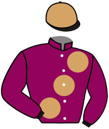 casaque portée par Pertrizot T. jockey du cheval de course SHOLOKJACK, information pmu ZETURF casaque portée par Pertrizot T. jockey du cheval de course SHOLOKJACK, information pmu ZETURF