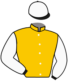 casaque portée par Foulon M. jockey du cheval de course MALLORCA SUN, information pmu ZETURF casaque portée par Foulon M. jockey du cheval de course MALLORCA SUN, information pmu ZETURF