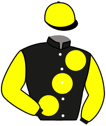 casaque portée par Gaignard Q. jockey du cheval de course KIR FLIGHT, information pmu ZETURF casaque portée par Gaignard Q. jockey du cheval de course KIR FLIGHT, information pmu ZETURF