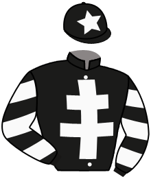 casaque portée par Foulon M. jockey du cheval de course FAL DARA, information pmu ZETURF casaque portée par Foulon M. jockey du cheval de course FAL DARA, information pmu ZETURF
