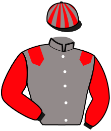 casaque portée par Lebourgeois Y. jockey du cheval de course LIFE IS BRIGHT, information pmu ZETURF casaque portée par Lebourgeois Y. jockey du cheval de course LIFE IS BRIGHT, information pmu ZETURF