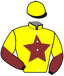 casaque portée par Thoraval Mlle Lis. jockey du cheval de course JANELLE DES VENTS, information pmu ZETURF