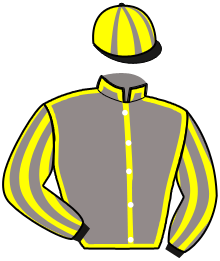 casaque portée par Frecelle Cl. jockey du cheval de course IBAN DE KARA, information pmu ZETURF casaque portée par Frecelle Cl. jockey du cheval de course IBAN DE KARA, information pmu ZETURF