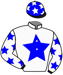 casaque portée par Baron Axe. jockey du cheval de course LUCAS TREZY, information pmu ZETURF casaque portée par Baron Axe. jockey du cheval de course LUCAS TREZY, information pmu ZETURF