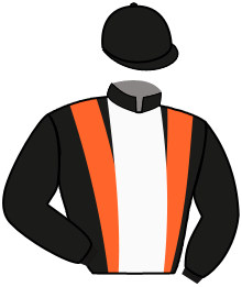 casaque portée par Djuse M. A. jockey du cheval de course GLOBAL ETALON, information pmu ZETURF casaque portée par Djuse M. A. jockey du cheval de course GLOBAL ETALON, information pmu ZETURF