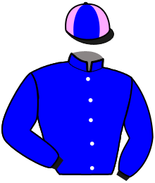 casaque portée par Bord T. jockey du cheval de course JACALA DE FONTAINE, information pmu ZETURF casaque portée par Bord T. jockey du cheval de course JACALA DE FONTAINE, information pmu ZETURF