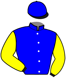 casaque portée par Fossey A. M. jockey du cheval de course ISKA DE VICTHI, information pmu ZETURF