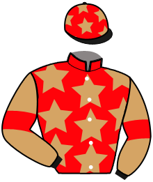 casaque portée par Yvon M. jockey du cheval de course KING DE LA ROUVRE, information pmu ZETURF casaque portée par Yvon M. jockey du cheval de course KING DE LA ROUVRE, information pmu ZETURF