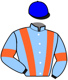 casaque portée par Saout Mlle C. jockey du cheval de course LIBREVILLE, information pmu ZETURF