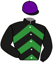 casaque portée par Girard Mme C. jockey du cheval de course GOVANON, information pmu ZETURF