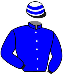 casaque portée par Rispoli U. jockey du cheval de course GAIDAR, information pmu ZETURF casaque portée par Rispoli U. jockey du cheval de course GAIDAR, information pmu ZETURF