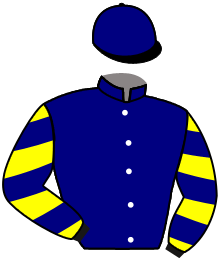 casaque portée par Boutin Hug. jockey du cheval de course NICE LADY, information pmu ZETURF casaque portée par Boutin Hug. jockey du cheval de course NICE LADY, information pmu ZETURF