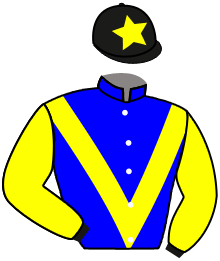 casaque portée par Velon Mlle M. jockey du cheval de course FEE DU VIVIEN, information pmu ZETURF casaque portée par Velon Mlle M. jockey du cheval de course FEE DU VIVIEN, information pmu ZETURF