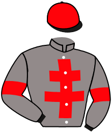 casaque portée par Massin Mlle A. jockey du cheval de course MANDLEFT, information pmu ZETURF casaque portée par Massin Mlle A. jockey du cheval de course MANDLEFT, information pmu ZETURF
