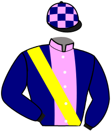 casaque portée par De Giles F. jockey du cheval de course IMAGINATION, information pmu ZETURF casaque portée par De Giles F. jockey du cheval de course IMAGINATION, information pmu ZETURF