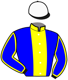 casaque portée par Lebourgeois Y. jockey du cheval de course LARGINO BRAVOURE, information pmu ZETURF casaque portée par Lebourgeois Y. jockey du cheval de course LARGINO BRAVOURE, information pmu ZETURF
