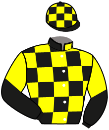 casaque portée par Ploquin Pau. Ph. jockey du cheval de course JARKA DE BEYLEV, information pmu ZETURF casaque portée par Ploquin Pau. Ph. jockey du cheval de course JARKA DE BEYLEV, information pmu ZETURF
