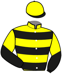 casaque portée par Raffestin J. jockey du cheval de course JENY DE GOUYE, information pmu ZETURF casaque portée par Raffestin J. jockey du cheval de course JENY DE GOUYE, information pmu ZETURF