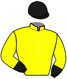 casaque portée par Gubellini P. jockey du cheval de course ESPRESSO ITALIA, information pmu ZETURF casaque portée par Gubellini P. jockey du cheval de course ESPRESSO ITALIA, information pmu ZETURF