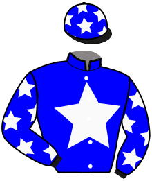 casaque portée par Raffin E. jockey du cheval de course JUSSEO, information pmu ZETURF casaque portée par Raffin E. jockey du cheval de course JUSSEO, information pmu ZETURF