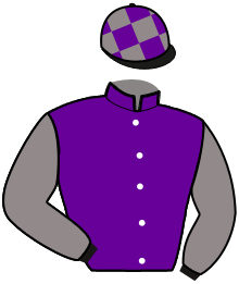 casaque portée par Lesne J. M. jockey du cheval de course HARMONIE PICARDE, information pmu ZETURF