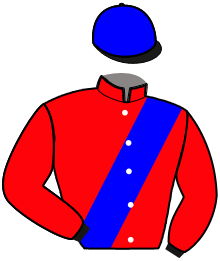 casaque portée par Heon D. jockey du cheval de course KONSTANZ BODENSEE, information pmu ZETURF casaque portée par Heon D. jockey du cheval de course KONSTANZ BODENSEE, information pmu ZETURF