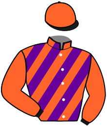 casaque portée par Delamarre N. jockey du cheval de course KALIE DE L'ORMERIE, information pmu ZETURF casaque portée par Delamarre N. jockey du cheval de course KALIE DE L'ORMERIE, information pmu ZETURF