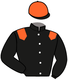 casaque portée par Beudard Mme M. jockey du cheval de course IRIS RENARDIER, information pmu ZETURF casaque portée par Beudard Mme M. jockey du cheval de course IRIS RENARDIER, information pmu ZETURF