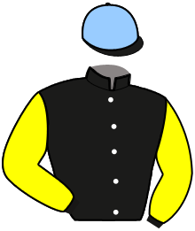 casaque portée par Collette A. jockey du cheval de course ILVICA DE HOUELLE, information pmu ZETURF casaque portée par Collette A. jockey du cheval de course ILVICA DE HOUELLE, information pmu ZETURF
