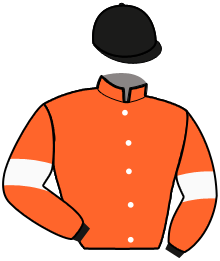 casaque portée par Condette J. jockey du cheval de course FLIGHT COMMODORE, information pmu ZETURF casaque portée par Condette J. jockey du cheval de course FLIGHT COMMODORE, information pmu ZETURF