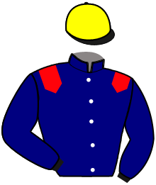 casaque portée par Seguin Q. jockey du cheval de course HEROS DES MOTTES, information pmu ZETURF
