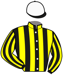 casaque portée par Guelpa J. jockey du cheval de course KEEP THE QUEEN, information pmu ZETURF casaque portée par Guelpa J. jockey du cheval de course KEEP THE QUEEN, information pmu ZETURF