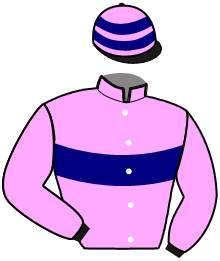 casaque portée par Le Moel Pie. jockey du cheval de course LEKEVIN DESBOIS, information pmu ZETURF