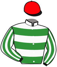 casaque portée par Izzo J. Ph. jockey du cheval de course FEVER DU LOGIS, information pmu ZETURF